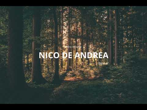 NICO DE ANDREA | Afro House | Melodic