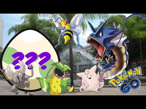 PEGUEI UM GYARADOS ENQUANTO CHOCAVA O OVO DE HOJE! - POKEMON GO | UM OVO POR DIA #05