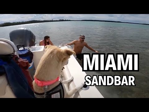 What REALLY Happened During The Miami Sandbar Incident?