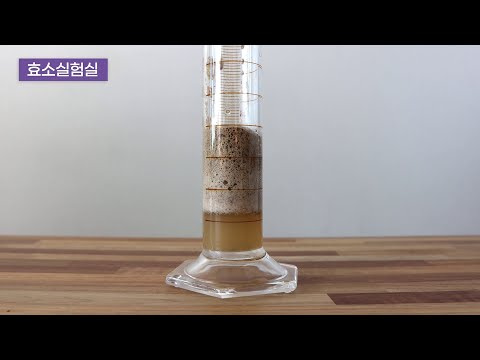 효소 실험실 - 자도 자도 피곤한 효소결핍증후군