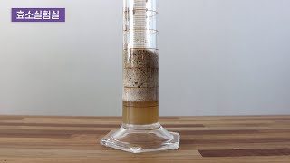 효소 실험실 - 자도 자도 피곤한 효소결핍증후군