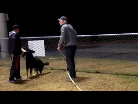 Fram z Medvedej doliny IPO3 KKl 5CX5/55