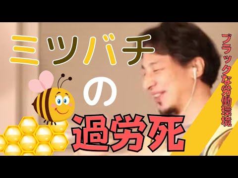 ミツバチコロニー崩壊症候群について詳しく解説