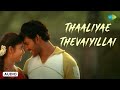 Thaaliyae Thevaiyillai Audio Song Thaamirabharani Vishal Bhanu Yuvan Shankar Raja