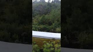 preview picture of video 'Holiday Home Resort, Kodaikanal'
