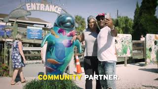 TECO Value  Opening Doors   30