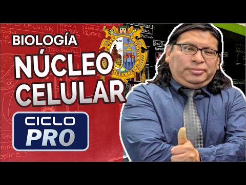 BIOLOGY - Cell nucleus [PRO CYCLE]