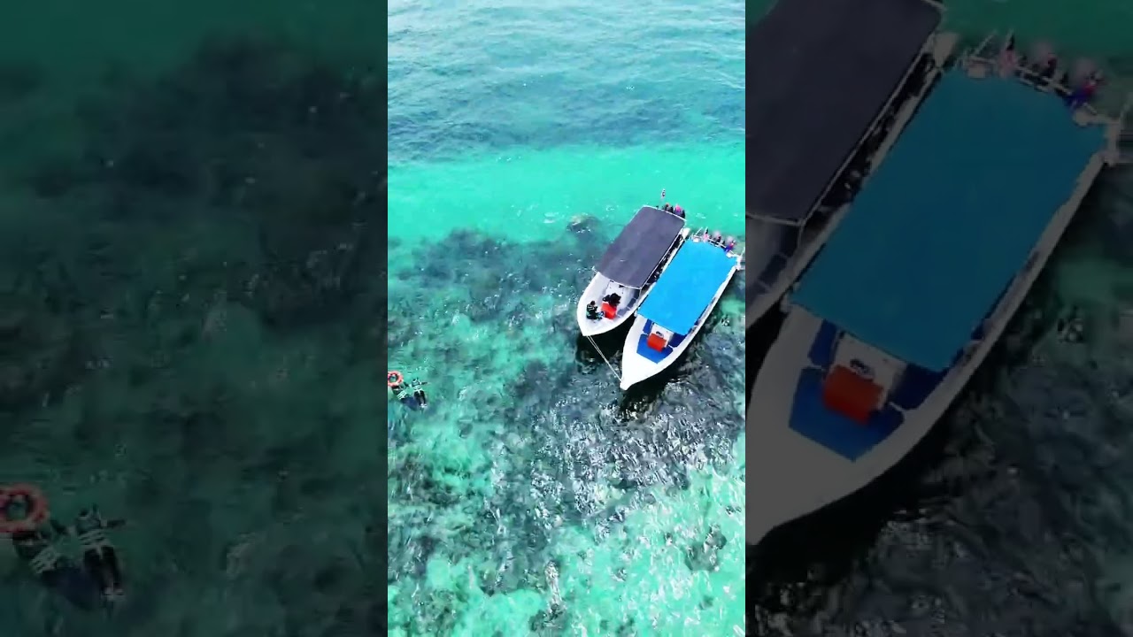 YouTube Short thumbnail