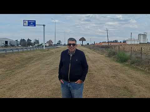Ombúes de Lavalle - Las antiguas tierras de un General argentino que alojaron decenas de ombúes.