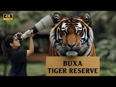 Into the Unknown: Buxa Tiger Reserve | Project All Tiger Reserves| Day 155 to Day 159