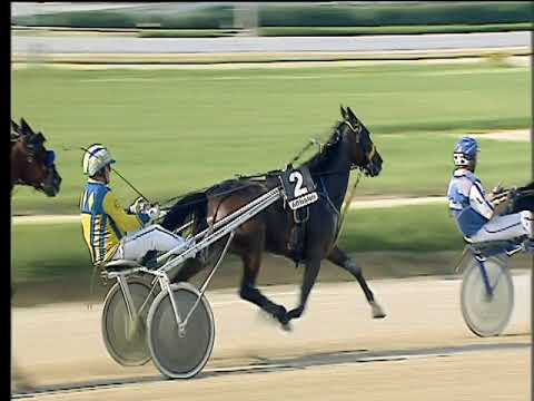 Trotto 11/05/2018 - 5ª corsa