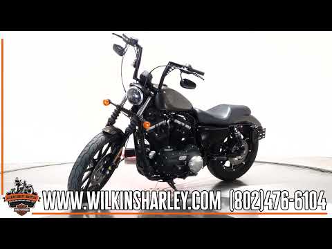  2020 Harley-Davidson XL883N Iron 883 in River Rock