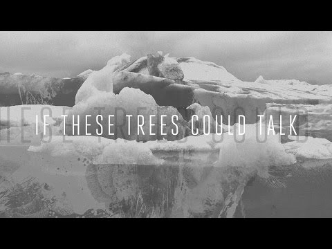If These Trees Could Talk - Solstice (OFFICIAL)