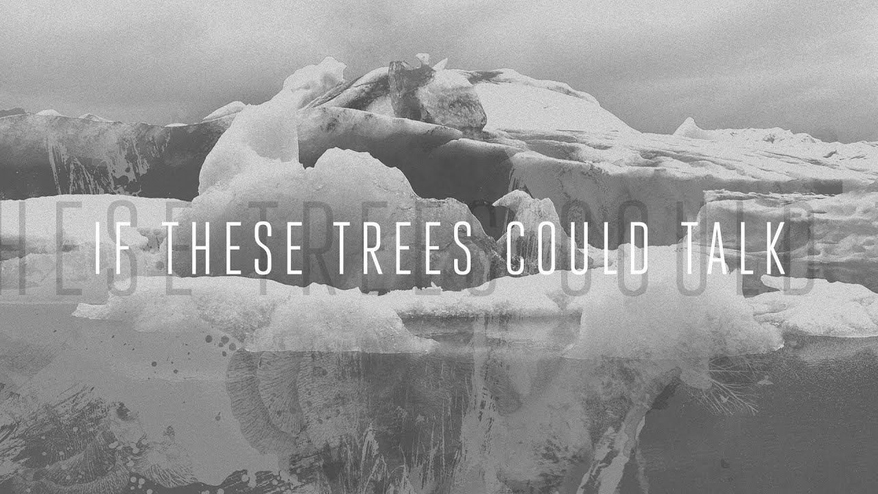 If These Trees Could Talk - Solstice (OFFICIAL) - YouTube
