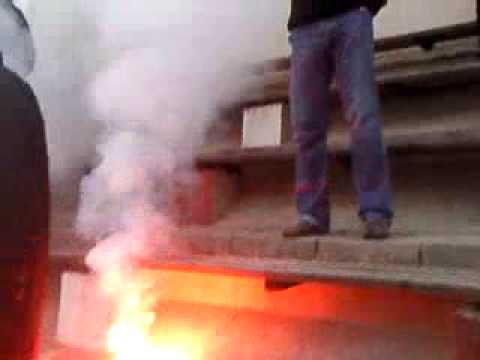 lunatics, orijent-vrapče