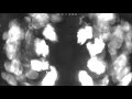 July 23 2021 2 SOTC MESSED CAMERA YET AGAIN AUDIO RECORDING OF UNDERCOVER BEASTS TARGETING