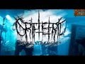 GRIFTEFRID - BISTER VERKLIGHET (HOUSE OF METAL 2013)