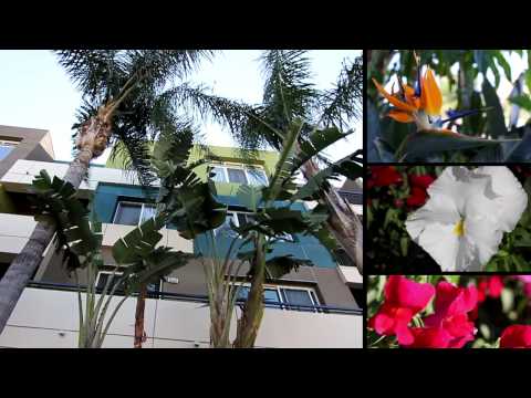 Lindley Apartments - Encino - "Why I Love My Home" 6