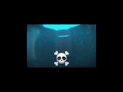 doodle and arkey are just 2 innocent friends...........