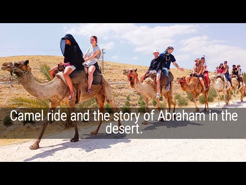 The Story of Abraham. | Camel ride | In the Genesis Land. ❤️ @Behold Israel Bible tour. #Holy Land