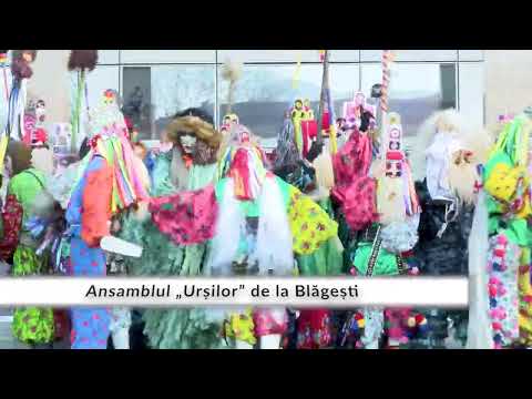 Ansamblul Urșilor de la Blăgești