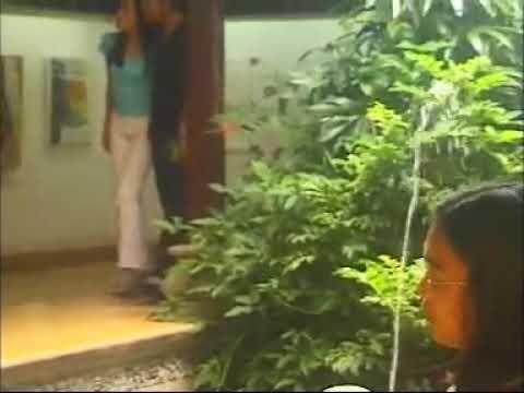 Manerabang sawang - Panji Kuning