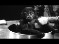 Baby gorilla Sinbad gets a medical checkup and a ...
