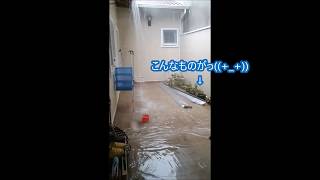 ブラジル夏の夕立　One summer squall day in Brazil