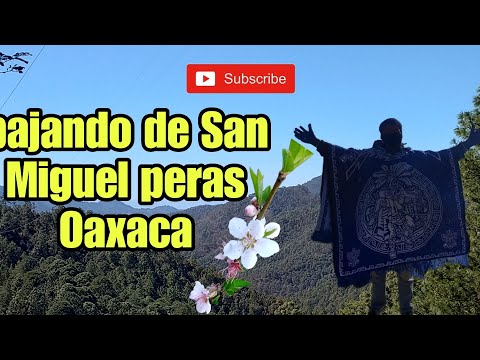 San Miguel peras Oaxaca México 🤠 // de paseo //