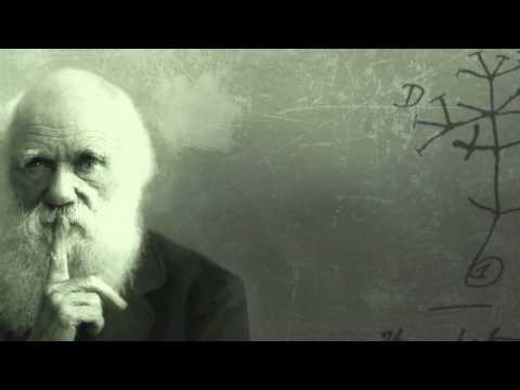 The Darwin-Wallace Debate on the Mind of Man / How Far Does Natural Selection Extend?