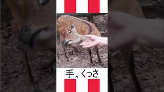 【ボケて】爆笑！おもしろシュール画像のボケてみたアフレコ集part7【boketeツッコミ歓迎】