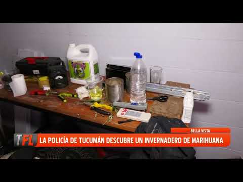 LA POLICIA DE TUCUMAN DESCUBRE UN INVERNADERO DE MARIHUANA 08-09-2026
