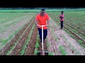 Easy Make Inter Cultivator For Vegetable And Weed Control