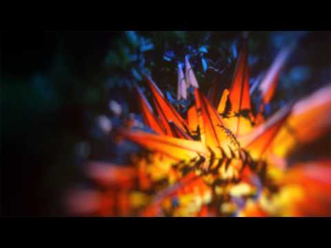 Holy Other - Yr Love (Late Night Tales: Jon Hopkins)