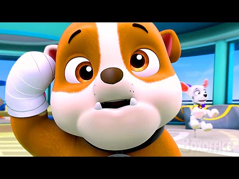 The FUNNIEST Moments from PAW Patrol! 🌀 4K
