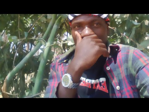 Rain maker------NAMULIKA MITAA( music audio)