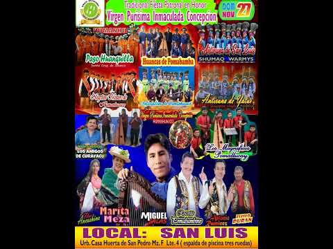 MIGUEL SALAS - NO TE EQUIVOQUES