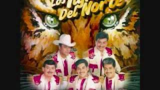 Unidos para Siempre - Los tigres del Norte