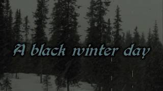 Amorphis - Black winter day (lyrics on screen)