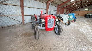بيع جرارة صغيرة Massey Ferguson Traktor Massey Ferguson - صورة 4 | Agronetto AE جرارة صغيرة Massey Ferguson Traktor Massey Ferguson | صورة 4 - Agronetto