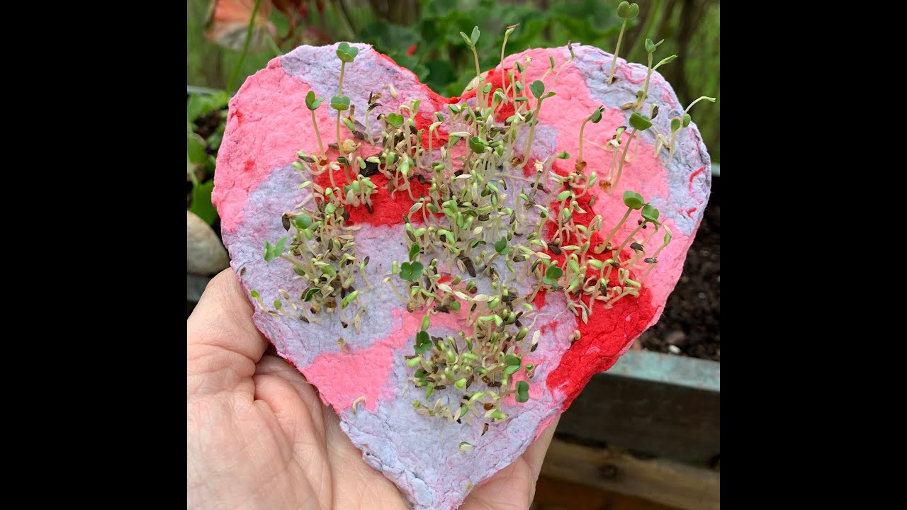 From Our Heart to Yours