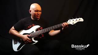 Video thumbnail for The best bass budget under $500!! Sire V3 2nd Generation! by Bassku