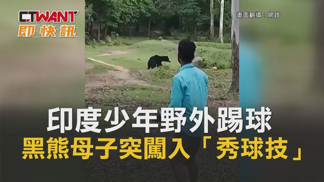 圖說-印度少年野外踢球　黑熊母子突闖入「秀球技」