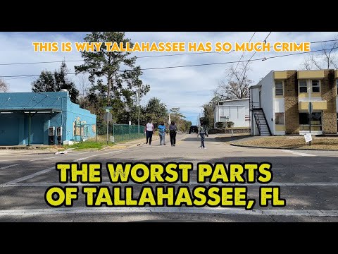 Here's What Tallahassee's Worst Hood Looks Like. Gunshots Recorded!