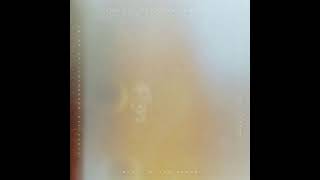 Until Tomorrow - Remastered Music Video
