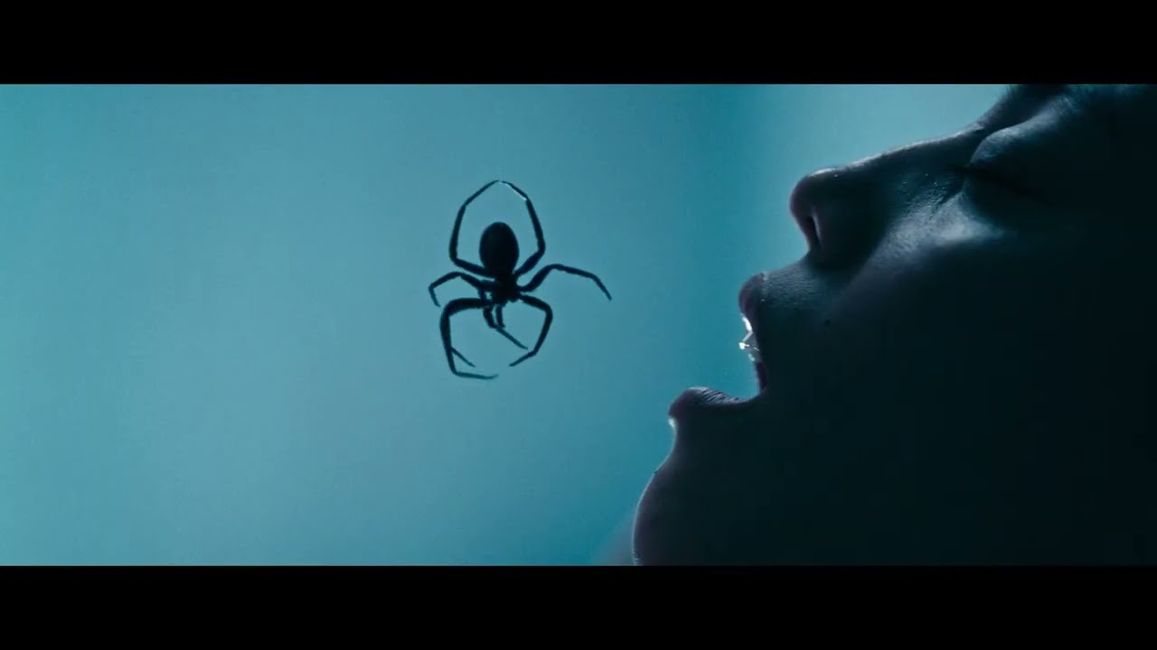 Crawlers