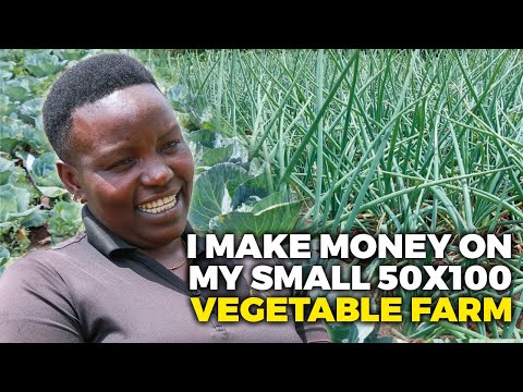 Small Scale Vegetable Farm: How I Make Money On A Small Farm