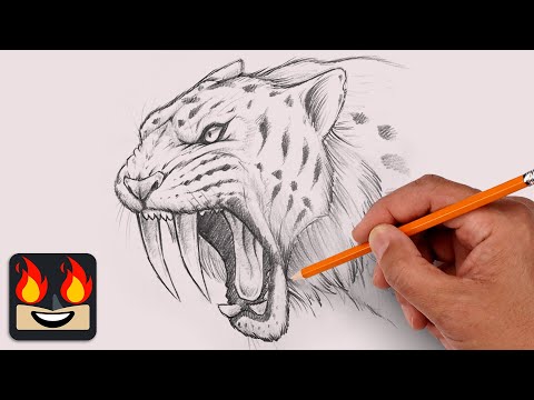 How To Draw a Sabre Tooth Tiger | Sketch Tutorial (Step-by-Step)