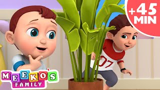 [4K] Peek A Boo Peek A Boo I See You | Baby Songs Collection | Meeko's Family