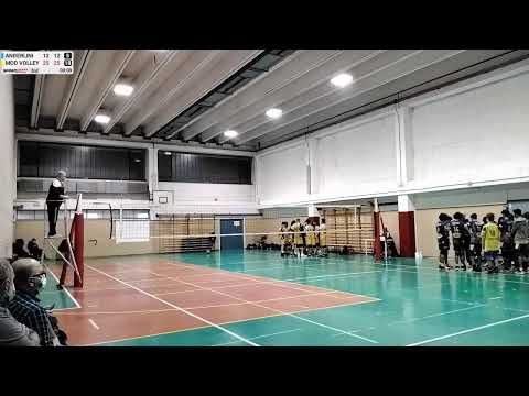 ANDERLINI  vs MOD VOLLEY - 23/11/2021
